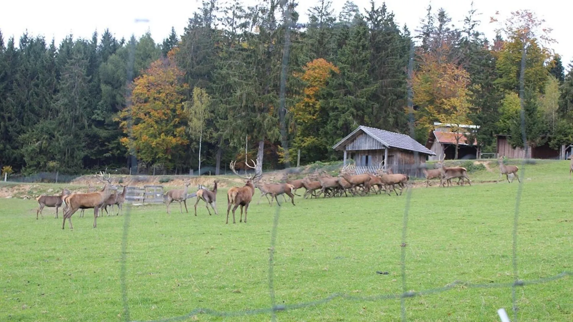 Gasthaus Zur Waldesruh Waffenbrunn 0*,  Deutschland