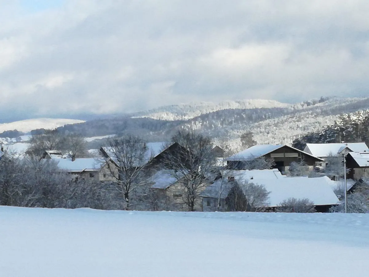 Gasthaus Zur Waldesruh Waffenbrunn 0*,  Deutschland