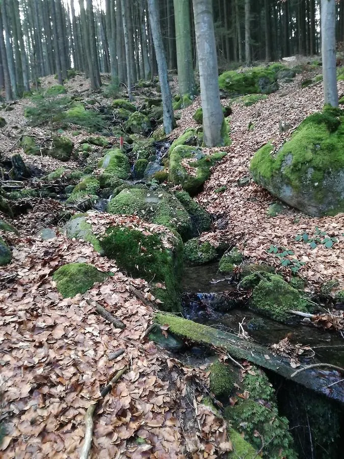 Gasthaus Zur Waldesruh Waffenbrunn 0*,  Deutschland